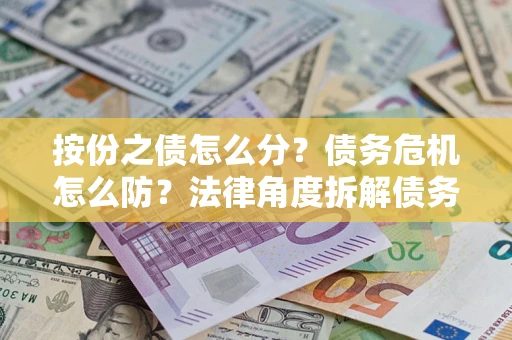 武汉按份之债怎么分？债务危机怎么防？法律角度拆解债务分配与风险自保指南