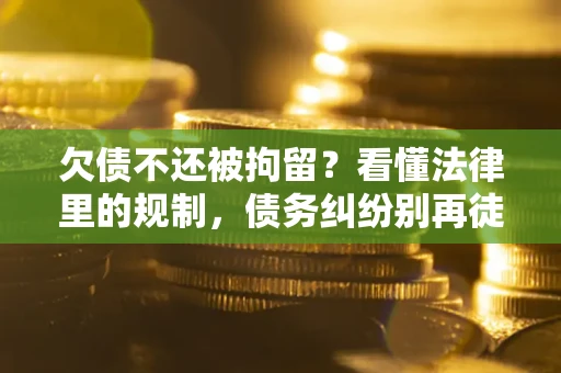 武汉欠债不还被拘留？看懂法律里的规制，债务纠纷别再徒劳奔波