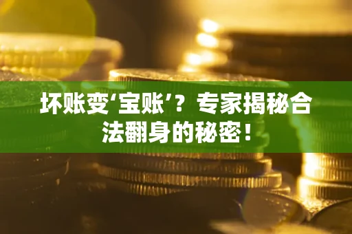 武汉坏账变‘宝账’？专家揭秘合法翻身的秘密！