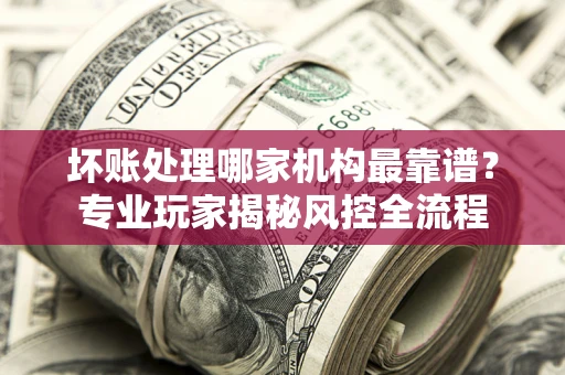 武汉坏账处理哪家机构最靠谱？专业玩家揭秘风控全流程