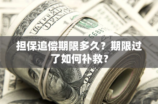 武汉担保追偿期限多久？期限过了如何补救？