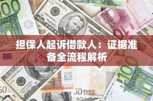 武汉担保人起诉借款人：证据准备全流程解析