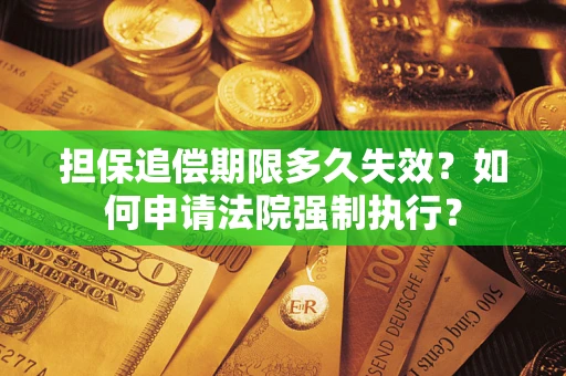 武汉担保追偿期限多久失效？如何申请法院强制执行？