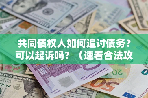武汉共同债权人如何追讨债务？可以起诉吗？（速看合法攻略）