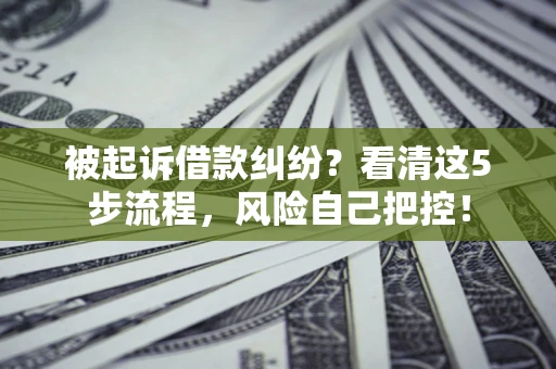武汉被起诉借款纠纷？看清这5步流程，风险自己把控！